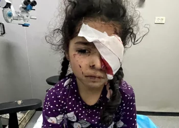 “Man-Made Hell On Earth”: A Canadian Doctor on His Medical Mission to Gaza