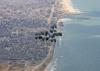 Hamas urges end to Gaza airdrops after aid mishap kills at least 18