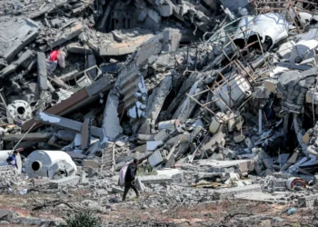 Clear evidence Israel committed ‘genocide’ in Gaza: UN expert