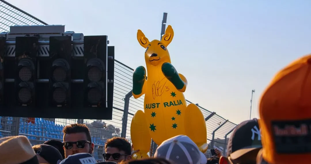 “The Thrill of Motorsports: A Fan’s Perspective”