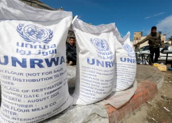 Japan to deliver $35M aid to Gaza as UNRWA funding resumes