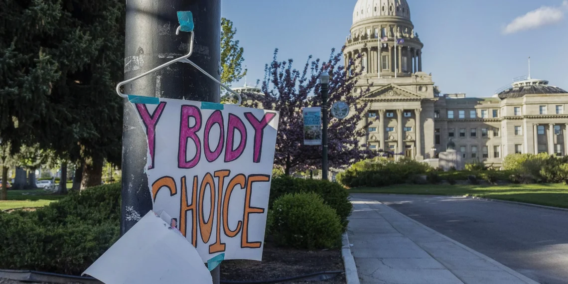 Idaho Goes to the Supreme Court to Argue That Pregnant People Are Second-Class Citizens