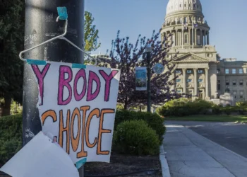 Idaho Goes to the Supreme Court to Argue That Pregnant People Are Second-Class Citizens