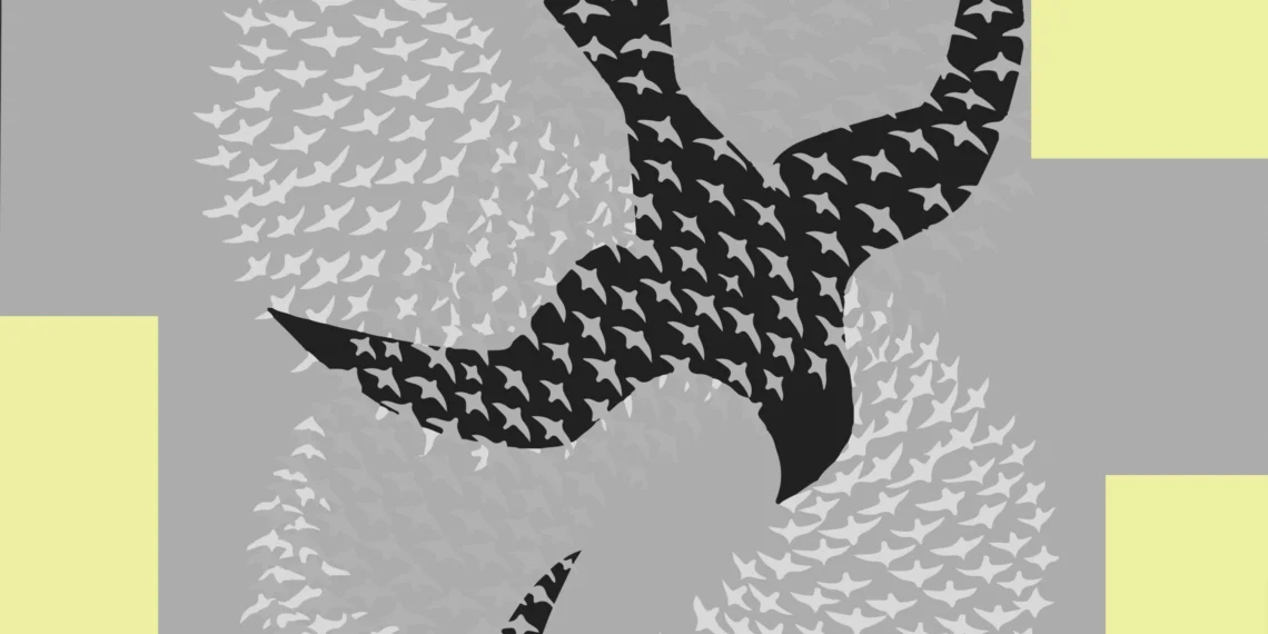 Solidarity Forever: Building Movements Amid Today’s Crises