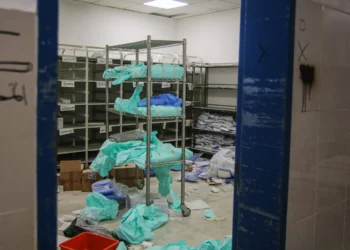 Hundreds of Palestinian Doctors Disappeared Into Israeli Detention