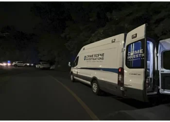 Man Murdered 3 Kids in Georgia After Taking Them ‘to Grab a Bite to Eat’: Police