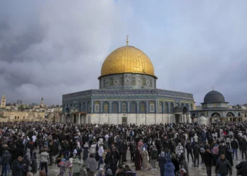 Turkish author laments Muslim world’s silence over Gaza tragedy