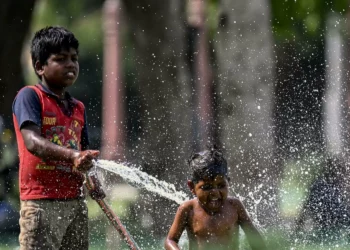 Summer scorch: Climate experts raise alarms amid record global heat