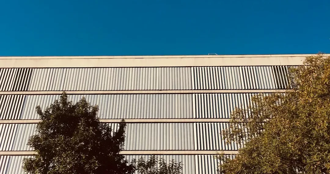 “The Power of Art and Entertainment: Adding Vibranc to Life”