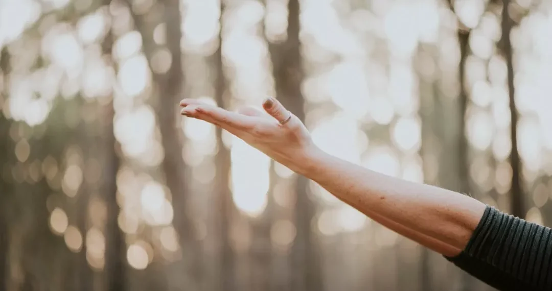 “Discovering the Hidden Gem of Salud, Mexico”