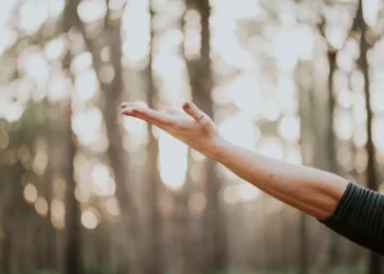 “Discovering the Hidden Gem of Salud, Mexico”