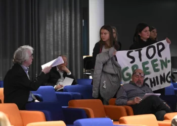 Global climate standard challenged by staff over carbon credit decision