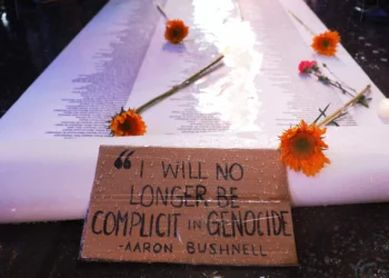 “Utterly Dismayed”: Air Force Engineer Resigns as Dissent Against Gaza War Slowly Spreads Within Military