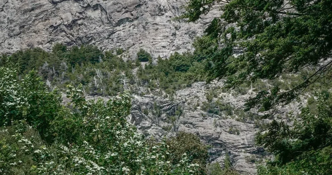 “The Transformative Power of Art and Entertainment”