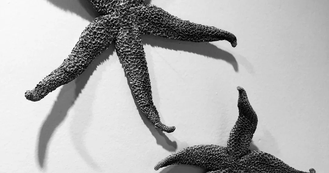 “Exploring the Transformative Power of Art and Entertainment”