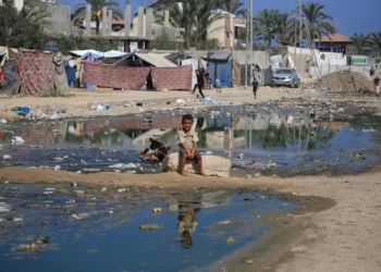 WHO sounds alarm over ‘very likely’ polio cases among Gazans