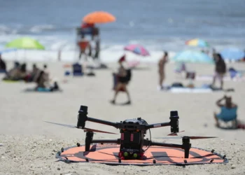 Birds vs. Drones: NYC beach patrol faces backlash from shorebirds