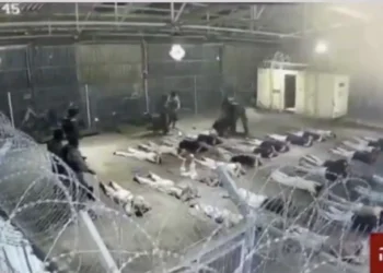 Video of Sexual Abuse at Israeli Prison Is Just Latest Evidence Sde Teiman Is a Torture Site