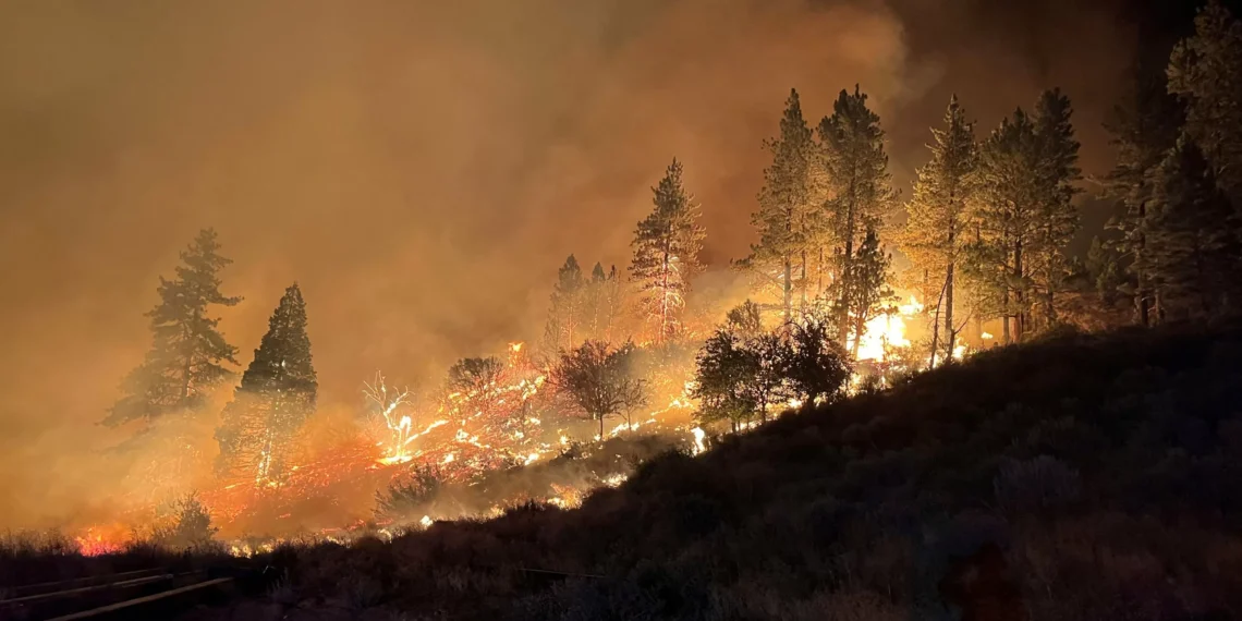 Climate change drives record wildfire CO2 emissions, study warns