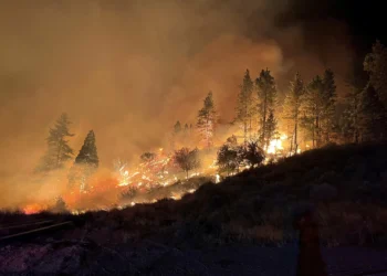 Climate change drives record wildfire CO2 emissions, study warns