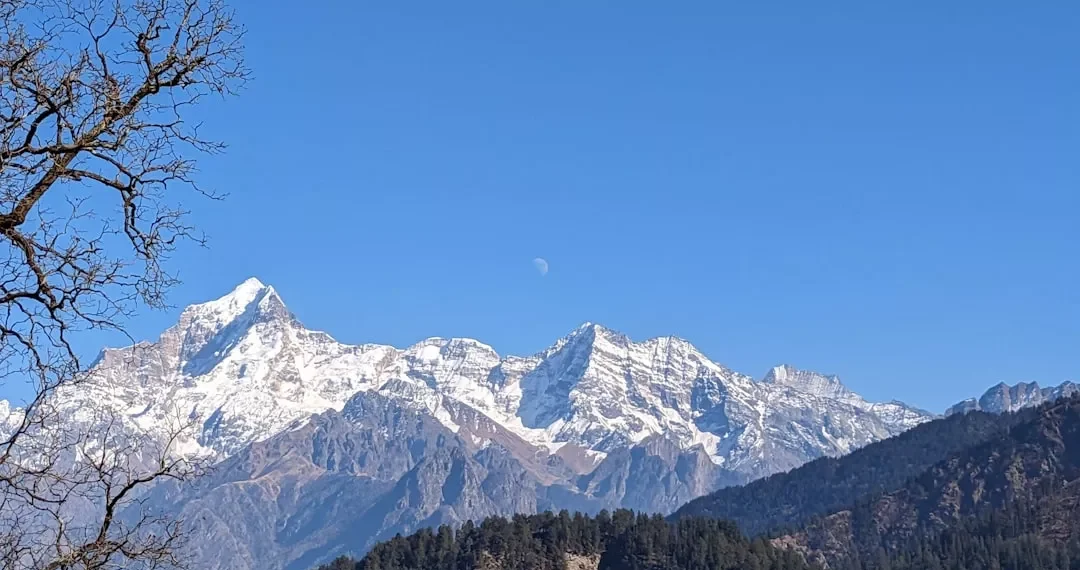 “Discover the Charm of Salud: A Mexican Cultural Gem”