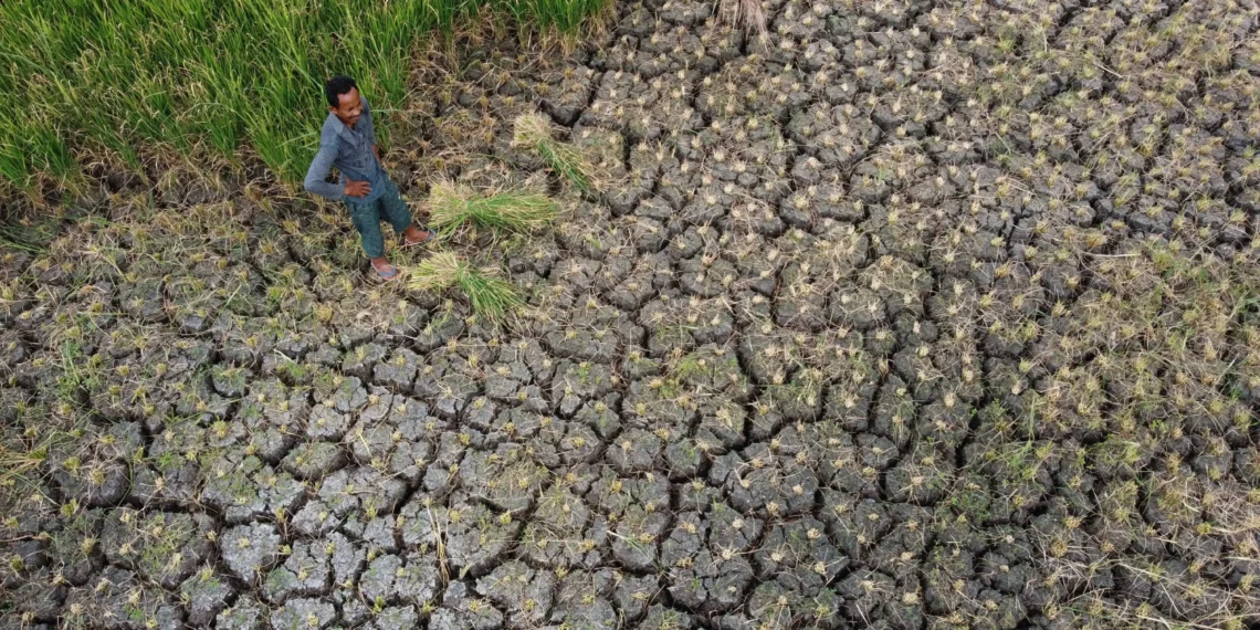 Severe drought devastates Sicily’s agriculture, livestock