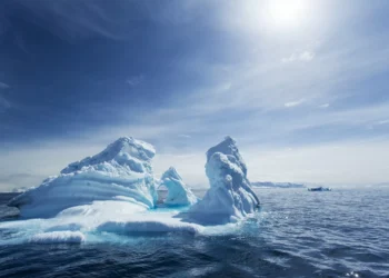 Antarctica faces new threats from invasive species, pollution