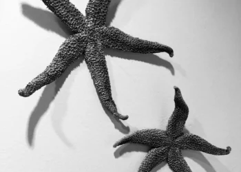 “The Importance of Art and Entertainment in Our Lives”