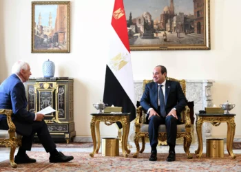 Egypt urges European pressure to push Israel for Gaza cease-fire