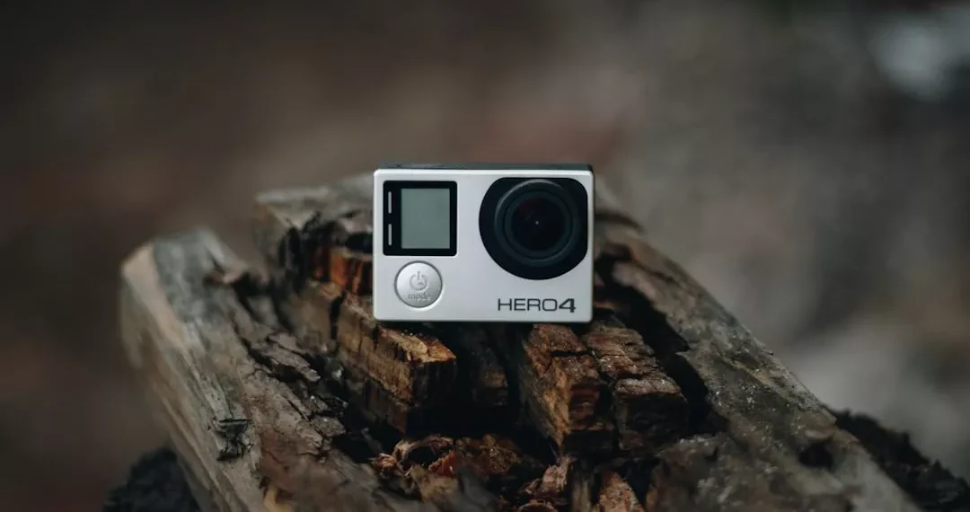 “The Enduring Influence of Sports in Human Culture”