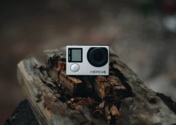 “The Enduring Influence of Sports in Human Culture”