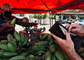 “Demystifying Economics: A Practical Guide for Everyday Living”