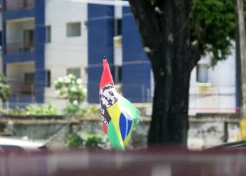 “Reviving Politics: The Inspiring Story of Edgar Paltzer”