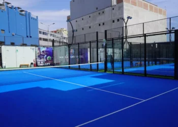 “The Enduring Impact of Sports on Human Culture”