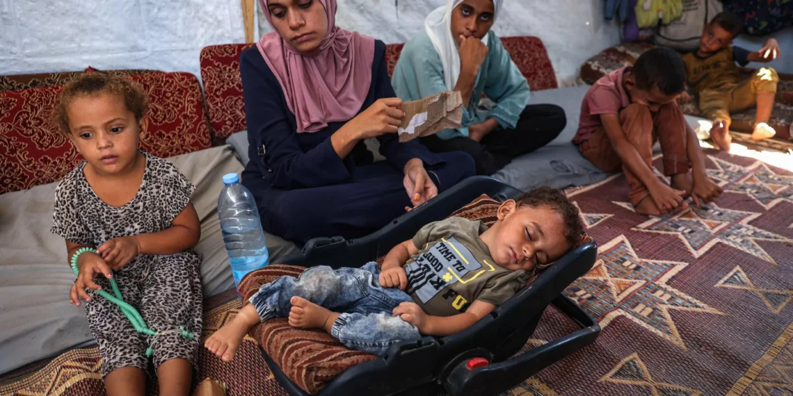 WHO claims to reach deal with Israel for limited pauses in Gaza