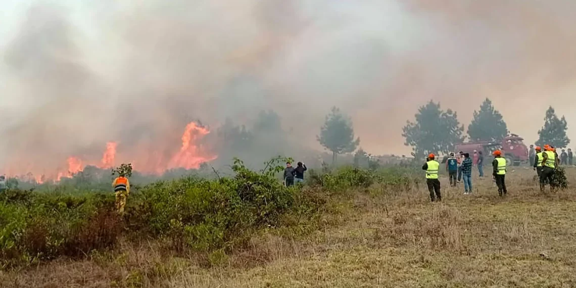 Wildfires across Peru kill 15, scorch thousands of hectares of land