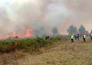 Wildfires across Peru kill 15, scorch thousands of hectares of land