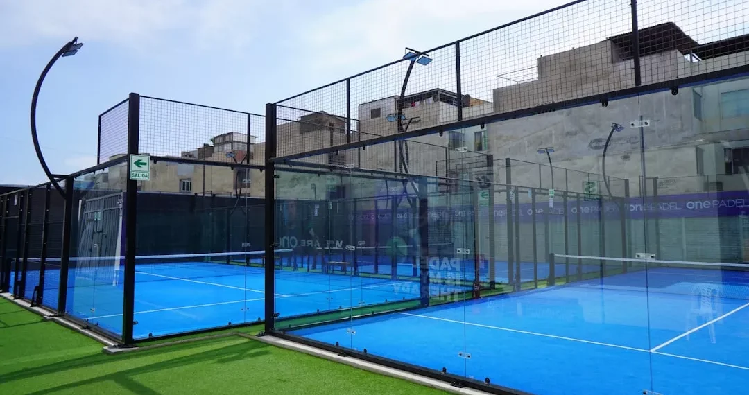 “The Enduring Impact of Sports on Human Society”