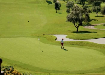 “The Enduring Impact of Sports on Human Society”