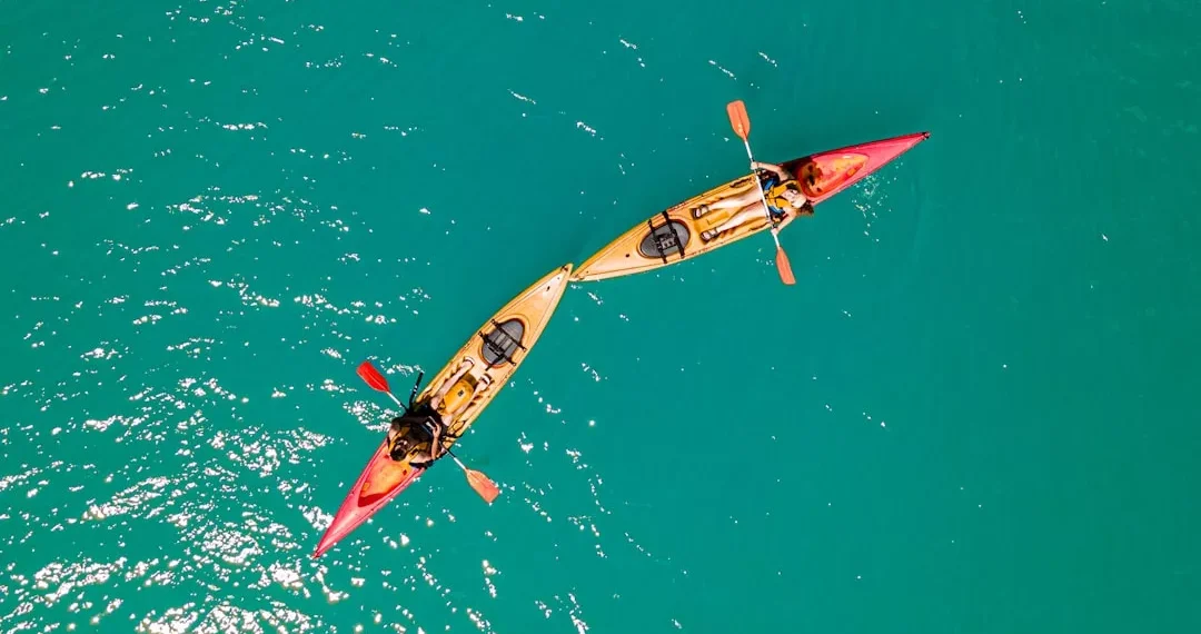 “The Enduring Impact of Sports on Human Society”