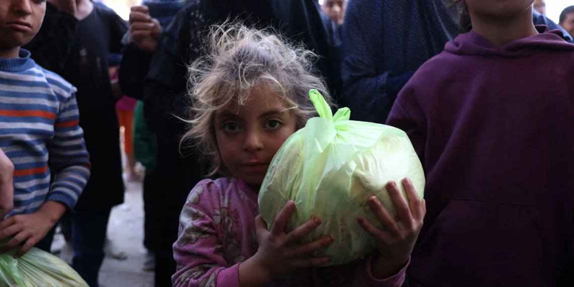 Israel committing ‘genocide’ to eradicate Palestinians: UN expert