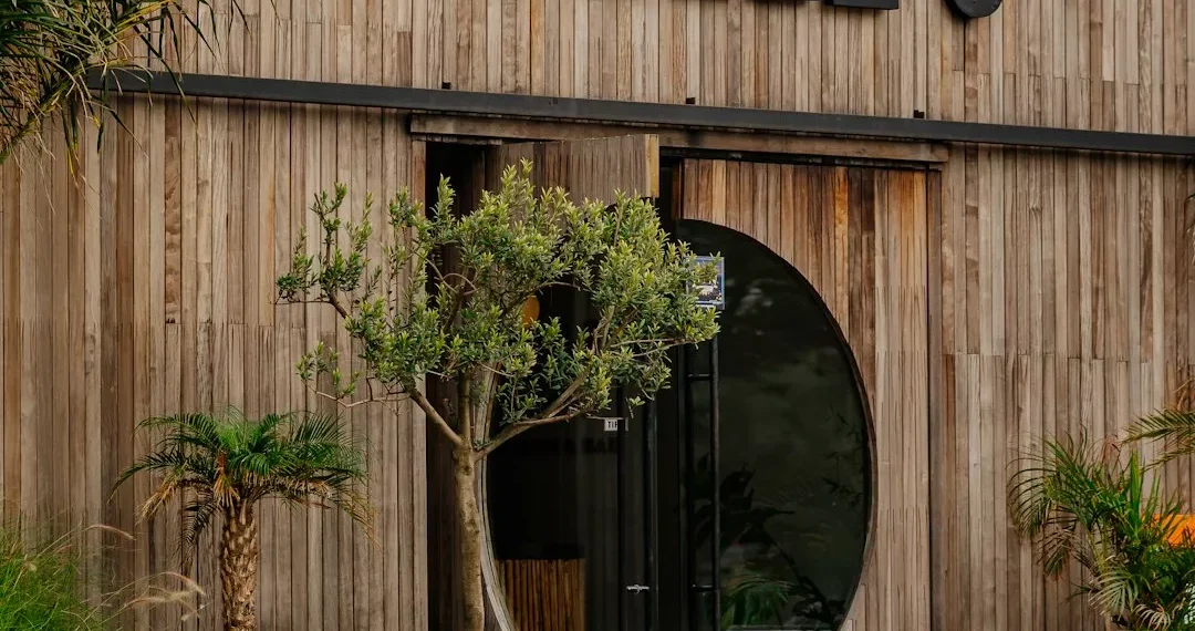 “The Transformative Power of Economía: Beyond Numbers and Graphs”