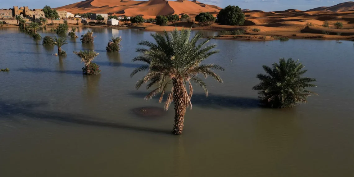 Rare downpour transforms Morocco’s golden dunes into lush lakes
