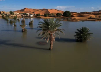 Rare downpour transforms Morocco’s golden dunes into lush lakes