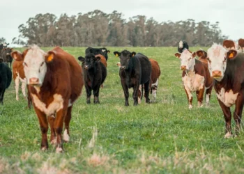 “Changing Perceptions: The Evolving Realm of Economics”