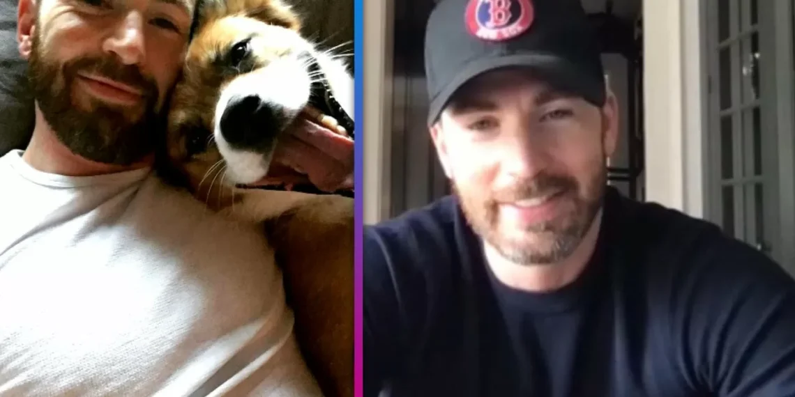 Chris Evans Shares When His Diet Consists of ‘Junk Food’ and How His Dog Participates in His Workout Routine