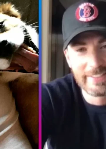 Chris Evans Shares When His Diet Consists of ‘Junk Food’ and How His Dog Participates in His Workout Routine