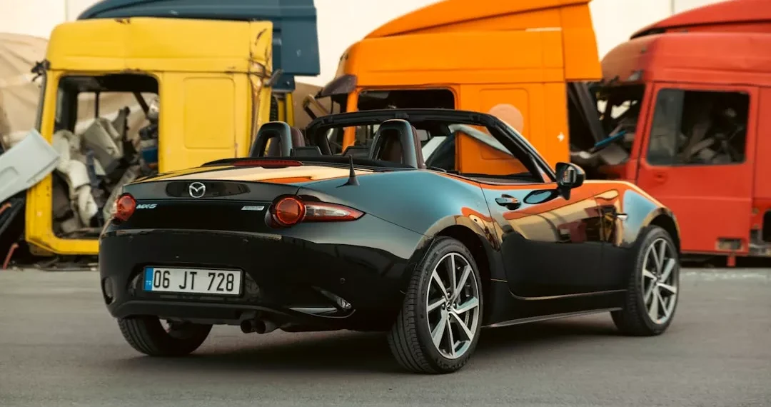 “The Influence of Social Media in Our Daily Lives”