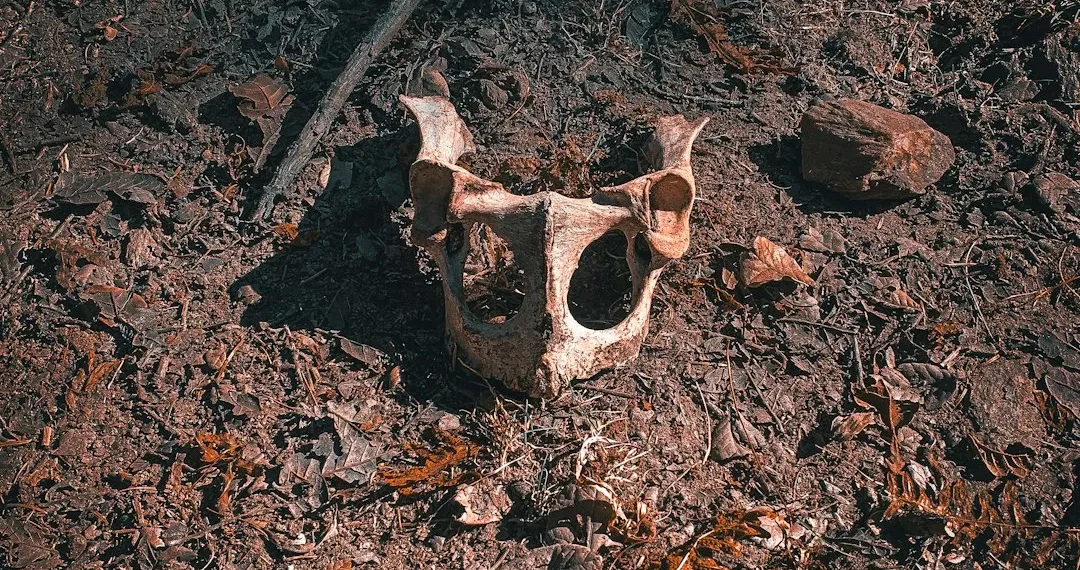 “Discovering the Hidden Gem of Salud: A Charming Town”