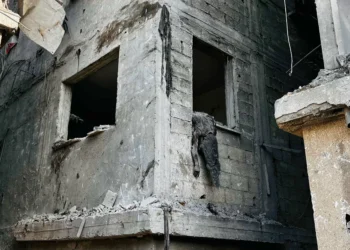 Over 93 feared dead in latest Israeli massacre in northern Gaza